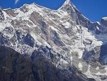 世界杯法国队伤残-法国队，世界杯上的坚韧与伤残